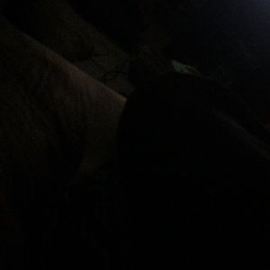 Meet your Posher, Deandre